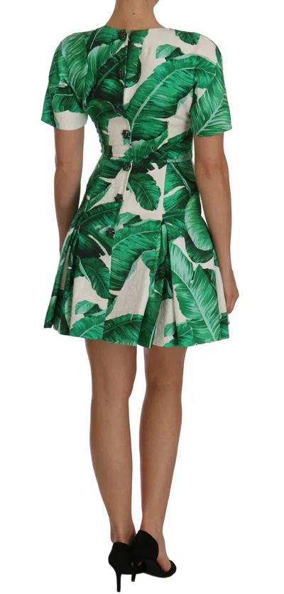 Dolce & Gabbana Elegant Green Banana Leaf Print A-line Dress In Green