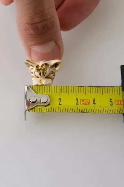 Pre-owned Dolce & Gabbana Gold Brass Resin Beige Dog Pet Accessory Women's Ring ()