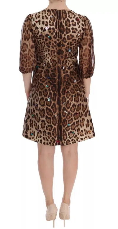 Pre-owned Dolce & Gabbana Leopard Silk Wool Crystal Shift Women's Dress () In Bown