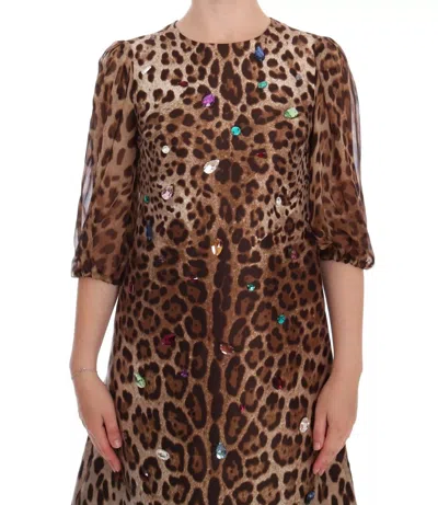 Pre-owned Dolce & Gabbana Leopard Silk Wool Crystal Shift Women's Dress () In Bown