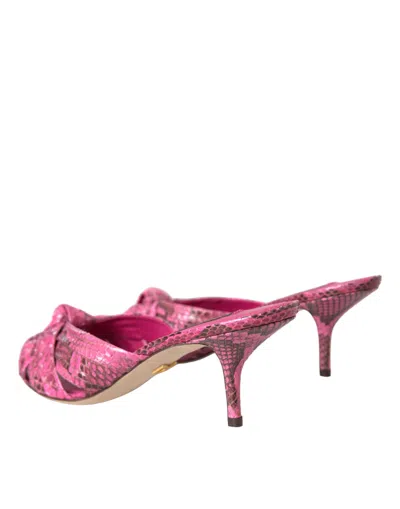 Dolce & Gabbana Pink Exotic Leather Kitten Heels Slides Shoes In Pink