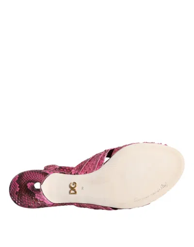 Pre-owned Dolce & Gabbana Pink Python Leather Kitten Heels Slides Women's Shoes ()