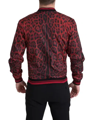 Pre-owned Dolce & Gabbana Red Leopard Bomber Short Coat Men's Jacket ()