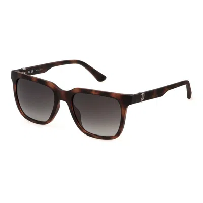 Police Sunglasses In Brown
