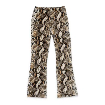 Callipygian Snake Brown Kick Pant In Brown