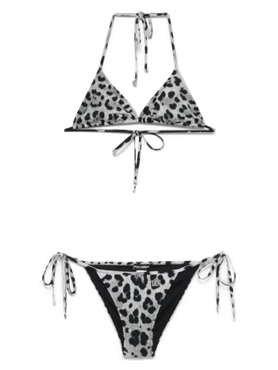 Dolce & Gabbana Leopard-print Bikini In Grey