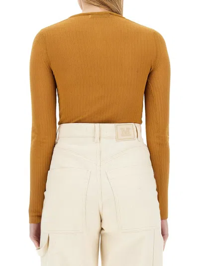 Max Mara Mesh Saggina In Multicolor