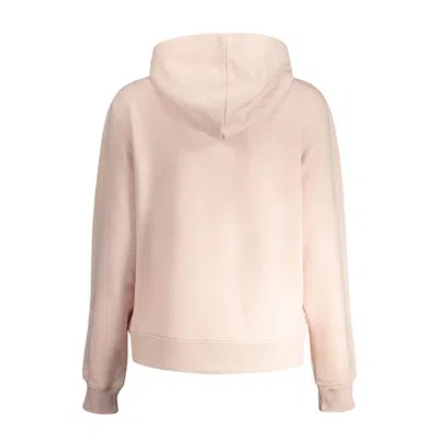 Calvin Klein Pink Cotton Sweater In Pink