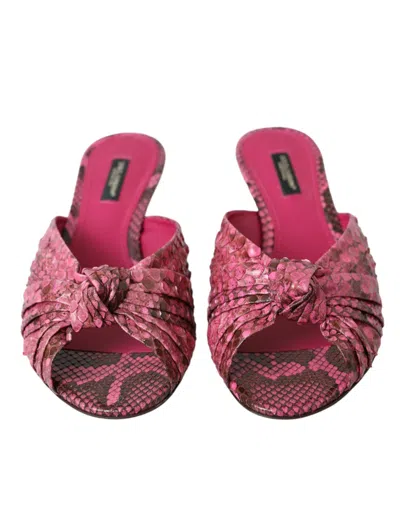 Dolce & Gabbana Pink Exotic Leather Kitten Heels Slides Shoes In Pink