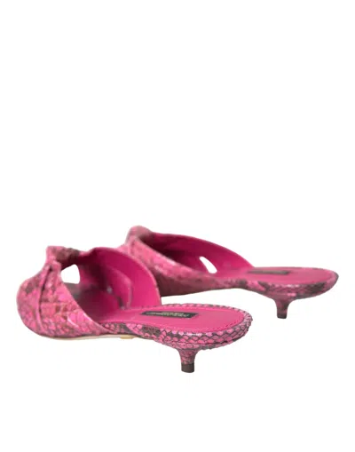 Dolce & Gabbana Pink Exotic Leather Kitten Heels Slides Shoes In Pink