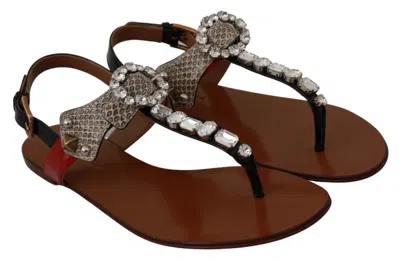 Dolce & Gabbana Leather Ayers Crystal Sandals Flip Flops Shoes In Brown