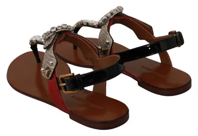 Dolce & Gabbana Leather Ayers Crystal Sandals Flip Flops Shoes In Brown