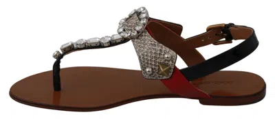 Dolce & Gabbana Leather Ayers Crystal Sandals Flip Flops Shoes In Brown