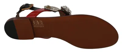 Dolce & Gabbana Leather Ayers Crystal Sandals Flip Flops Shoes In Brown