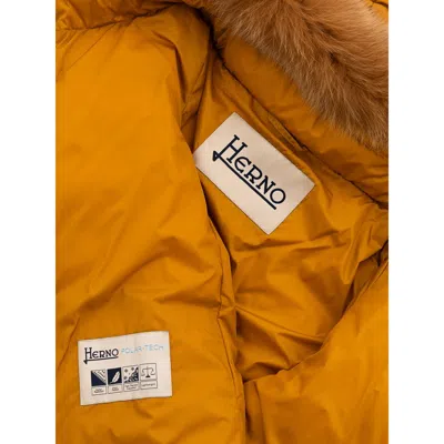 Herno Padded Jacket With Hood And Removable Fur  In Yellow