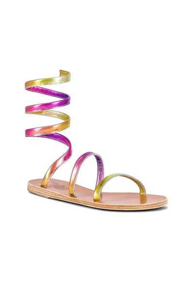 Ancient Greek Sandals Ofis Sandals In Tropical Sunset In Multi