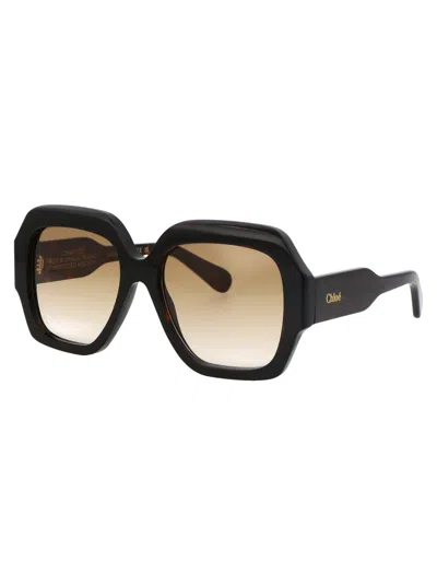Chloé Chloe Sunglasses Ch0154 S 002