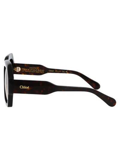 Chloé Chloe Sunglasses Ch0154 S 002