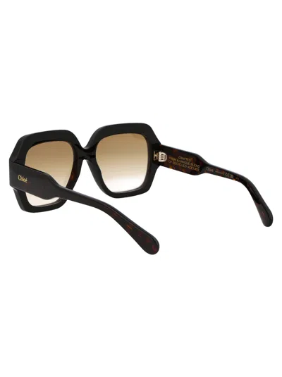 Chloé Chloe Sunglasses Ch0154 S 002