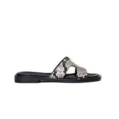 Atelier Brynn Sandals In Black Snake In Multi