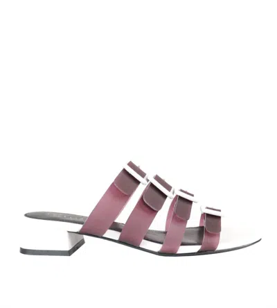 Cecelia New York Lexington Slide Sandal In Black And White In Multi