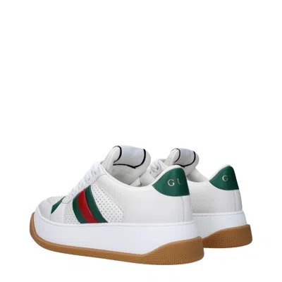Gucci Web Screener Trainer