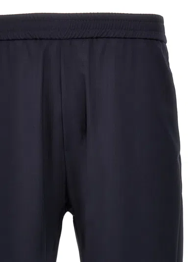 Barena Venezia Barena Riobarbo Pants In Gray