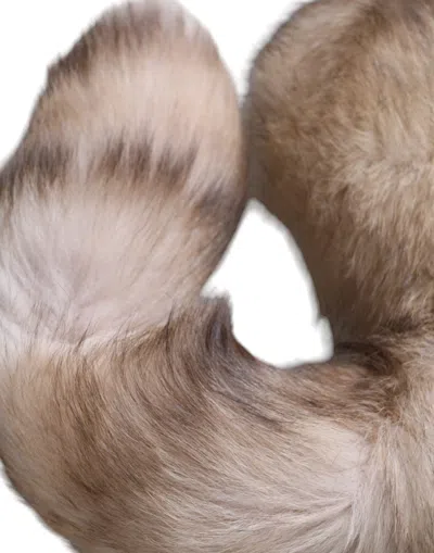 Dolce & Gabbana Brown Frost Fox Fur Neck Warmer Winter Scarf In Brown