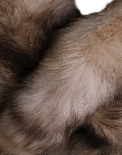 Dolce & Gabbana Brown Frost Fox Fur Neck Warmer Winter Scarf In Brown