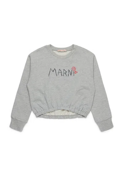 Marni Grey Crop Sweatshirt For Girl With Logo In Grey