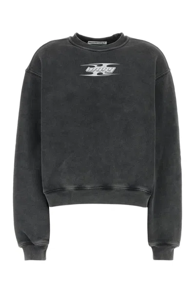 Alexander Wang T T By Alexander Wang Dark Grey Cotton Sweatshirt