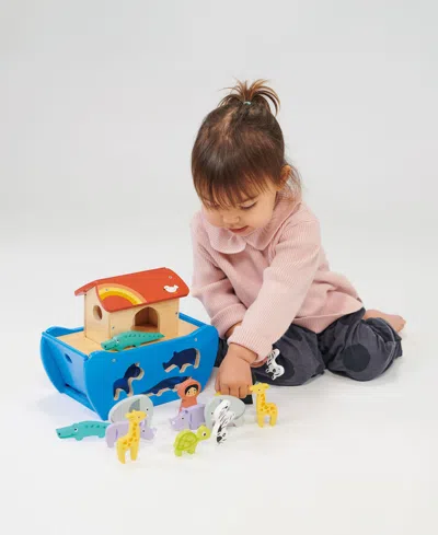 Mentari Toys Noah's Sorting And Stacking Bundle In Multi