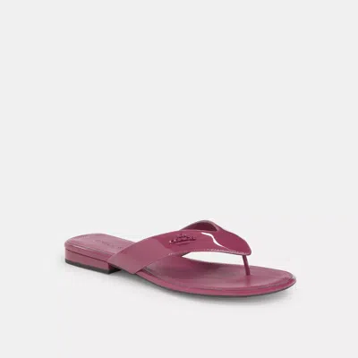 COACH OUTLET BRIDGETTE SANDAL 