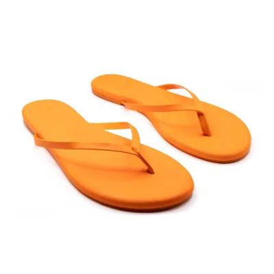 Solei Sea Women's Indie Flip Flops In Cafe In Multi