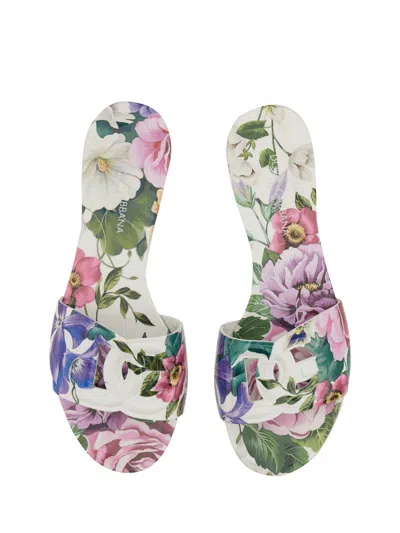 Dolce & Gabbana Women's Slide Sandal | Size 39 | Cw2215 In Multicolor