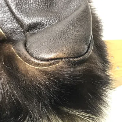 Pre-owned Fendi Dark Brown Fur Shoulder Bag ()