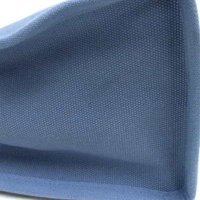 Pre-owned Coach Blue Canvas Handbag Shoulder Bag Tote Bag ()