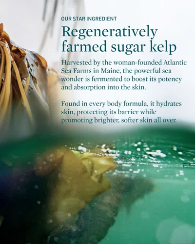 Credo Skincare Seascape Ceramide Body Serum