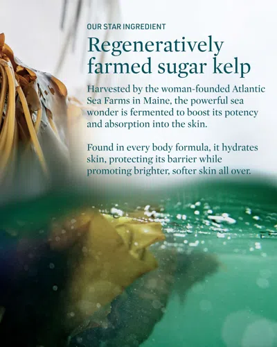 Credo Skincare Submerge Green Algae Body Cream