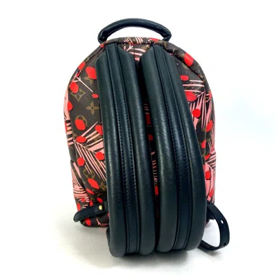 Pre-owned Louis Vuitton Brown Other Backpack ()