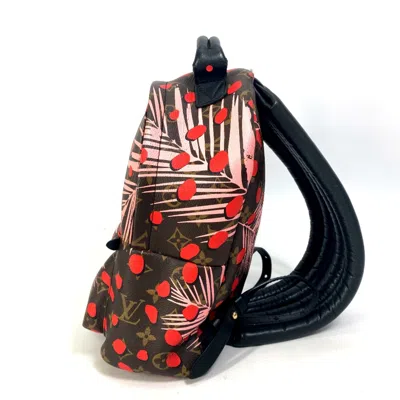Pre-owned Louis Vuitton Brown Other Backpack ()