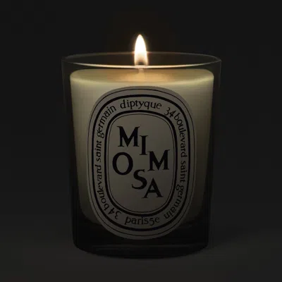 Diptyque Mimosa Classic Candle