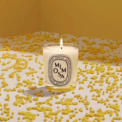 Diptyque Mimosa Classic Candle