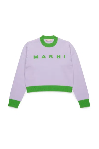Marni Maglione Girocollo In Misto Lana-cashmere Colorblock In Pink