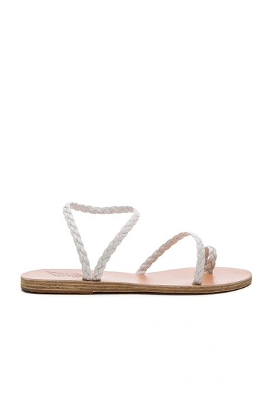 Shop Ancient Greek Sandals Eleftheria Sandal In White & White