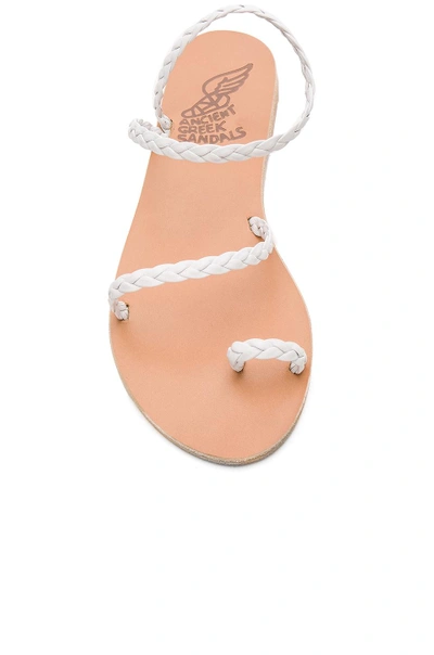 Shop Ancient Greek Sandals Eleftheria Sandal In White & White