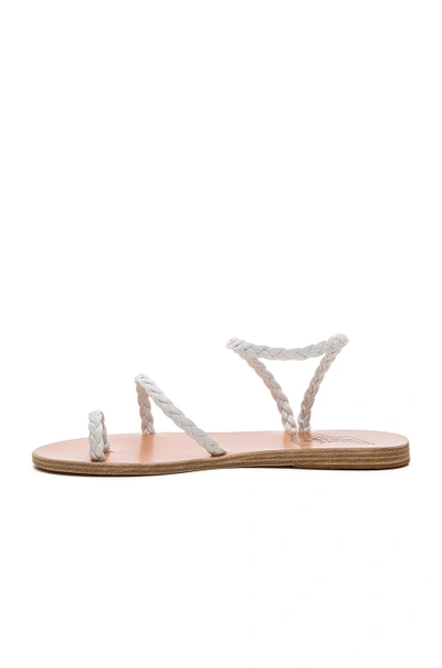 Shop Ancient Greek Sandals Eleftheria Sandal In White & White