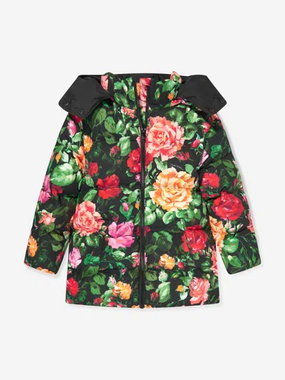 Dolce & Gabbana Rose-print Padded Hooded Jacket In Multicoloured