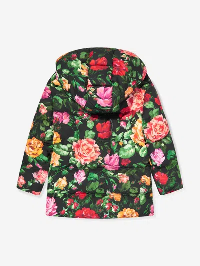 Dolce & Gabbana Rose-print Padded Hooded Jacket In Multicoloured