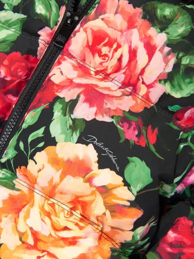 Dolce & Gabbana Rose-print Padded Hooded Jacket In Multicoloured